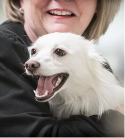 Prairie Lane Veterinary Hospital - New Client Information